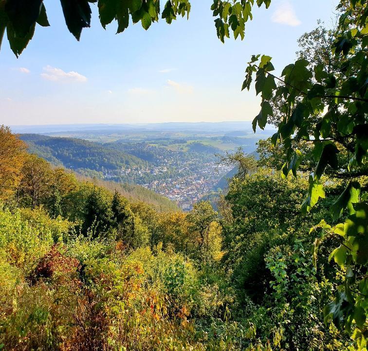 Waldgaststatte Bismarckturm